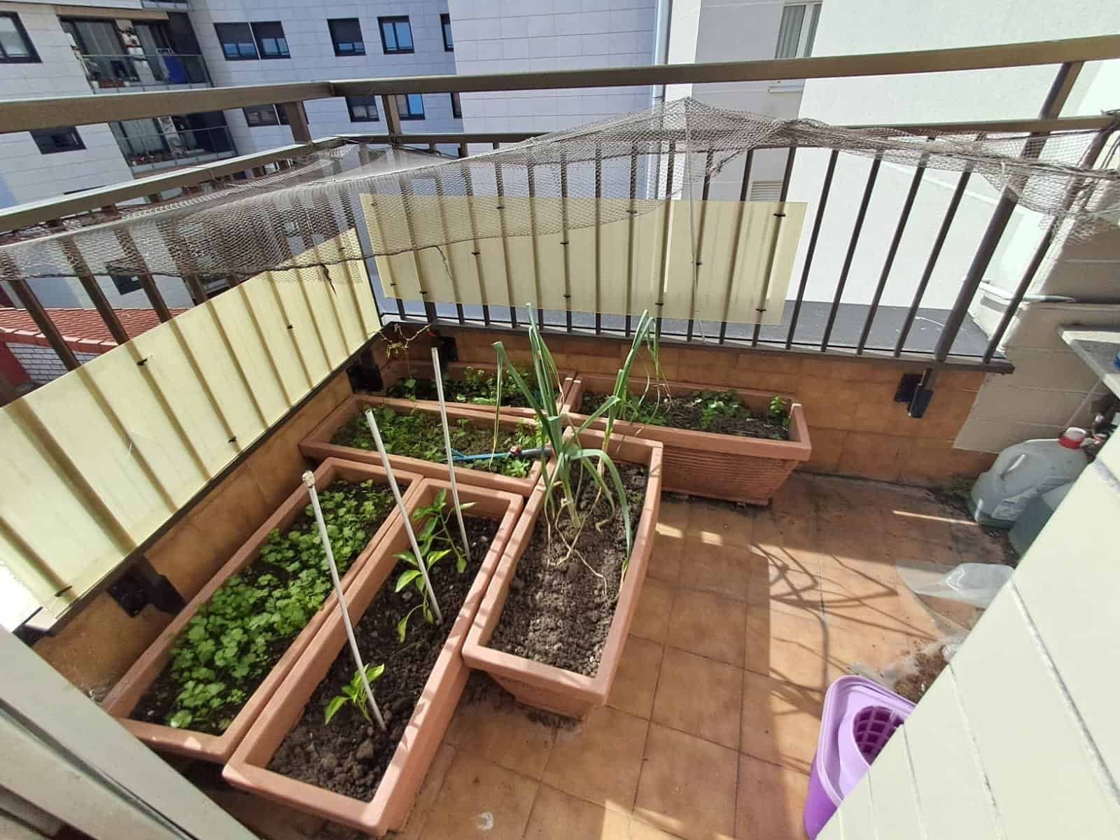 whatsapp image 2025 05 27 at 11.26.01 (1)