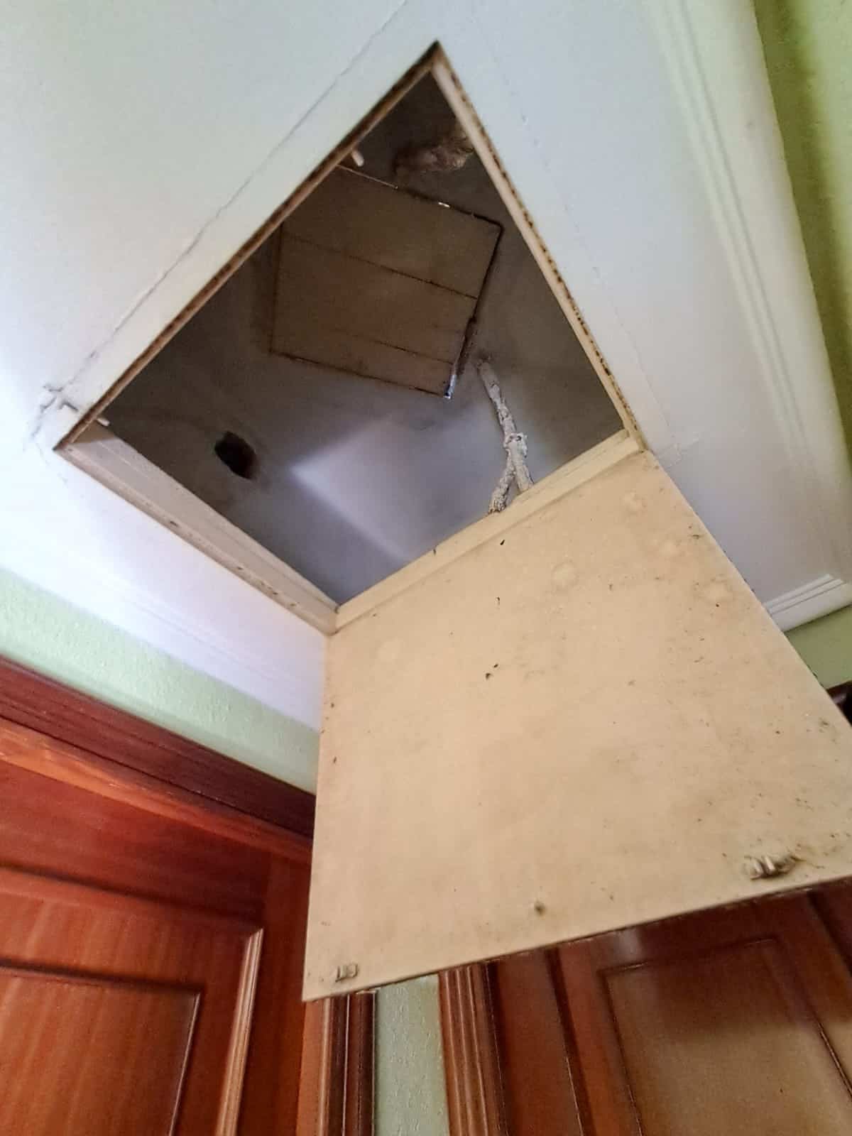 whatsapp image 2025 07 10 at 11.25.28 (6)